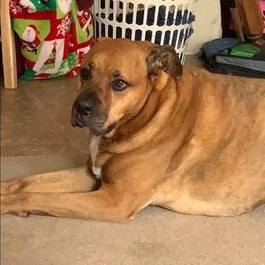 Meet your Posher, Alicia